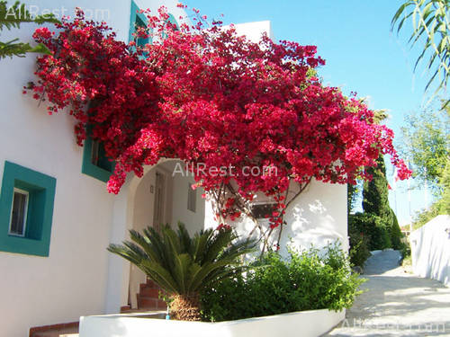 Mastichari Bay Hotel 10